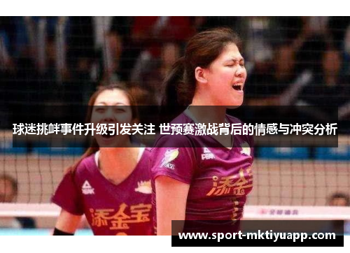 球迷挑衅事件升级引发关注 世预赛激战背后的情感与冲突分析