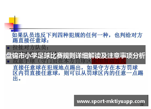 盘锦市小学足球比赛规则详细解读及注意事项分析