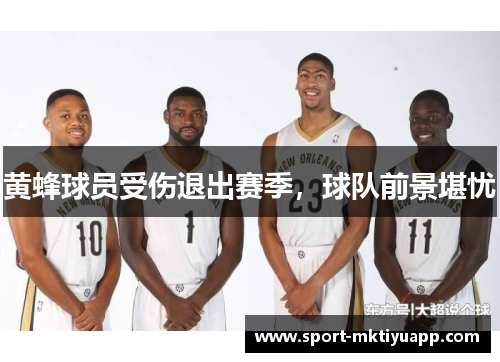 黄蜂球员受伤退出赛季，球队前景堪忧