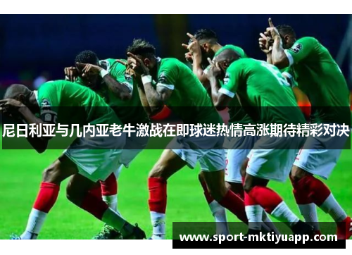 尼日利亚与几内亚老牛激战在即球迷热情高涨期待精彩对决